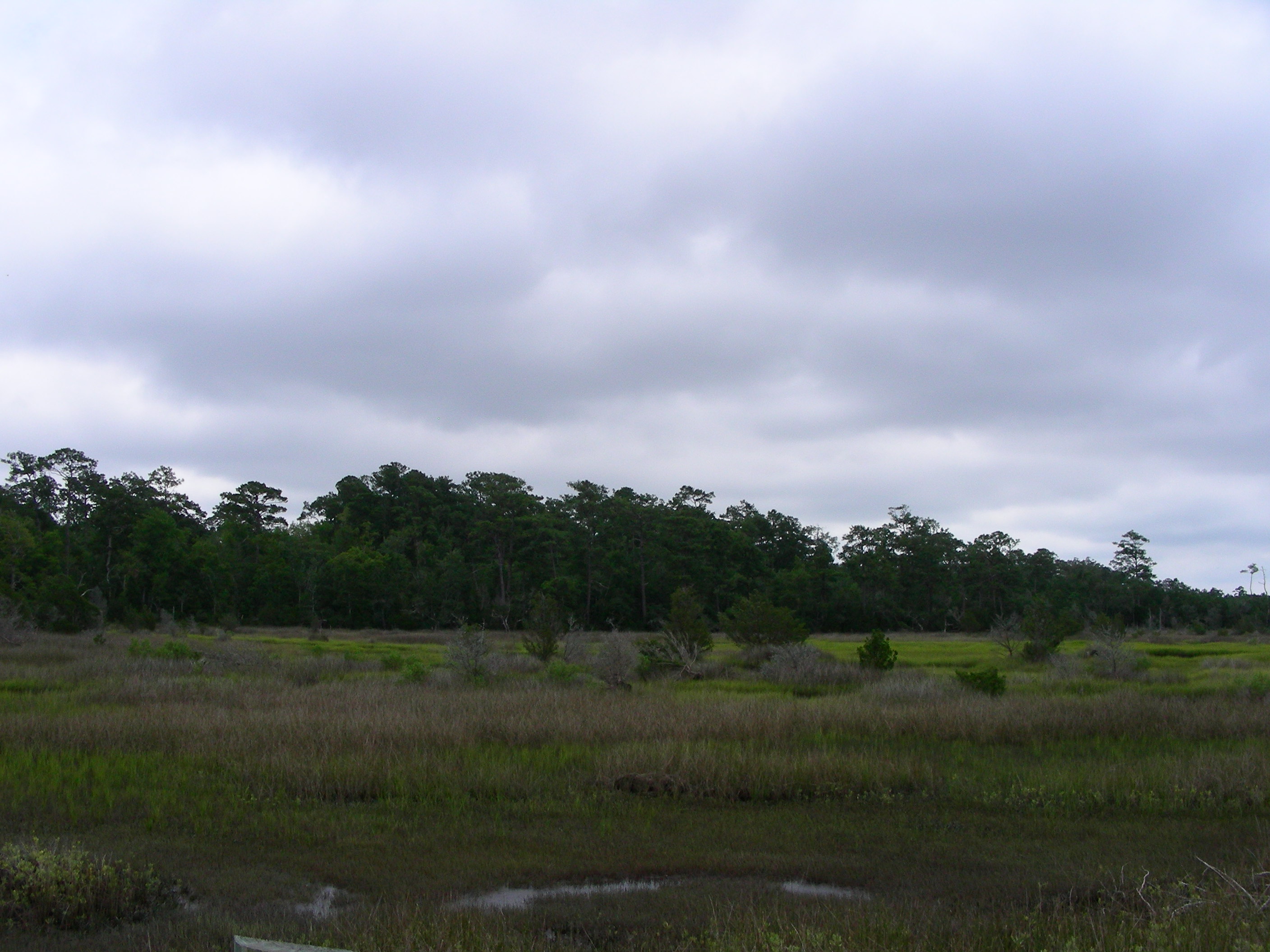 ./2014/Bear Island RSS/DSCN9321.JPG